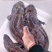 广东娃娃鱼鲜活食用活体大鲵海鲜水产鲜活淡水鱼肉质鲜美