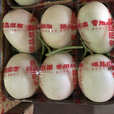 随时可发货