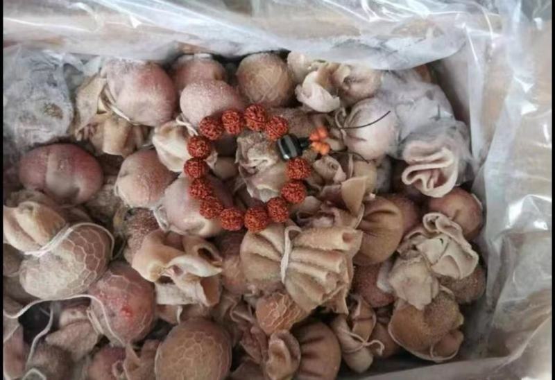 羊肚包肉，肚包牛羊肉，肚包脑，蒸煮卤炖，沾汁等！特色爆品