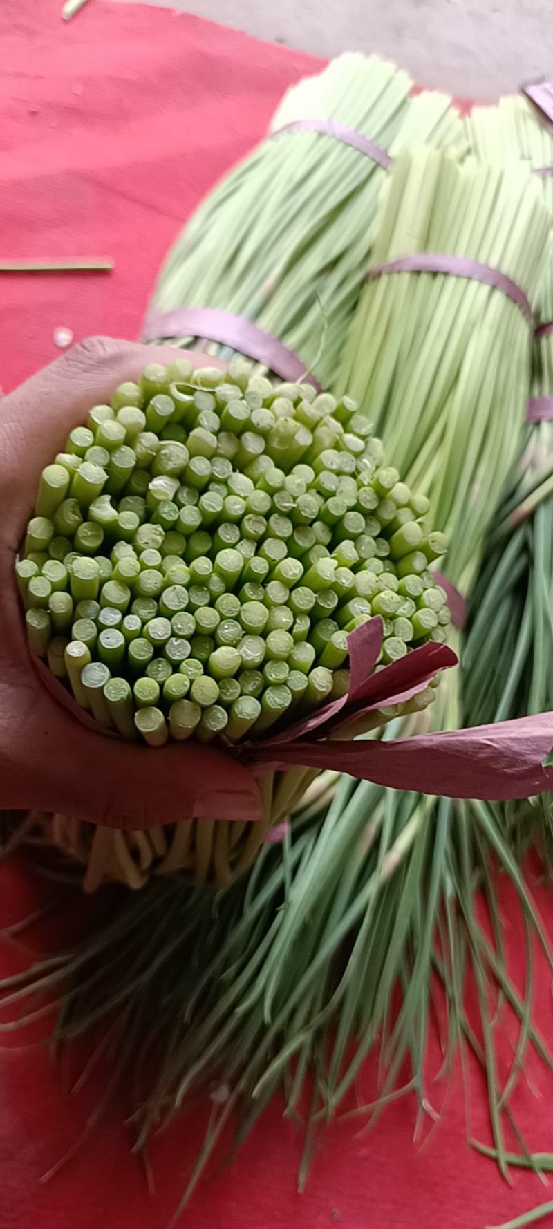 大量供应蒜薹，优质蒜薹大量上市中，欢迎采购