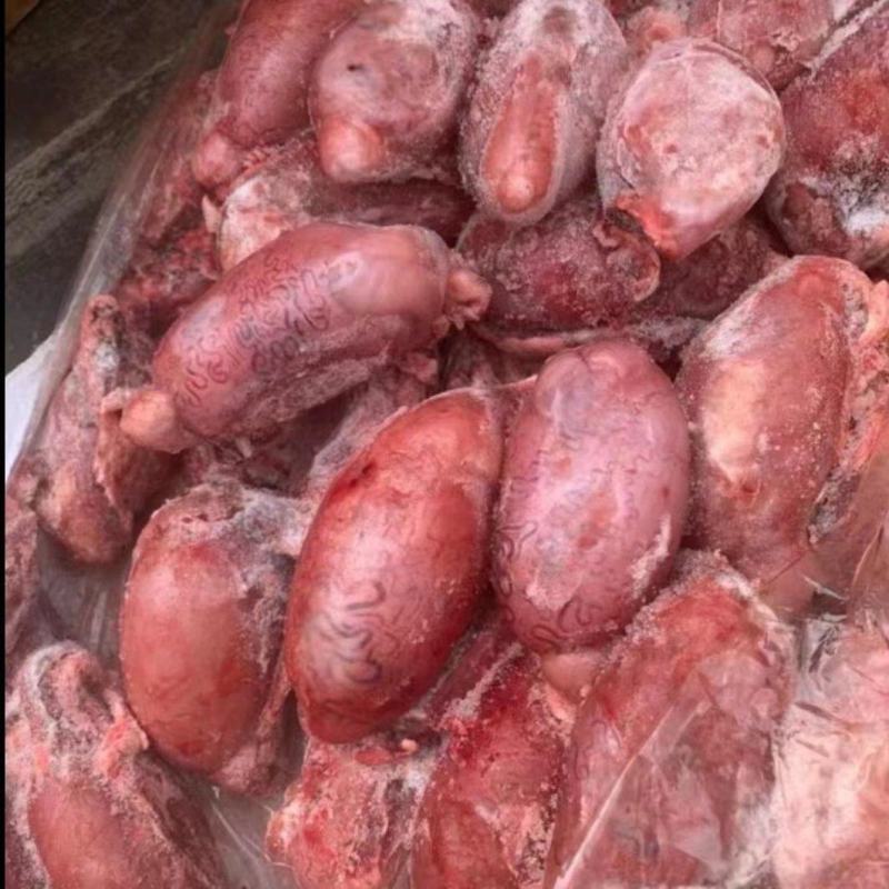牛宝，鲜冻牛宝，纯干不调理，品质保证，不掺假，国产个头大