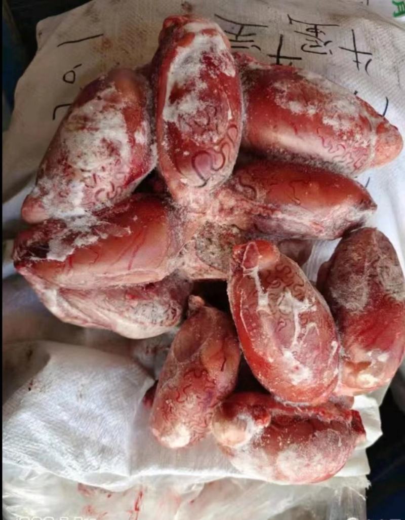 牛宝，鲜冻牛宝，纯干不调理，品质保证，不掺假，国产个头大