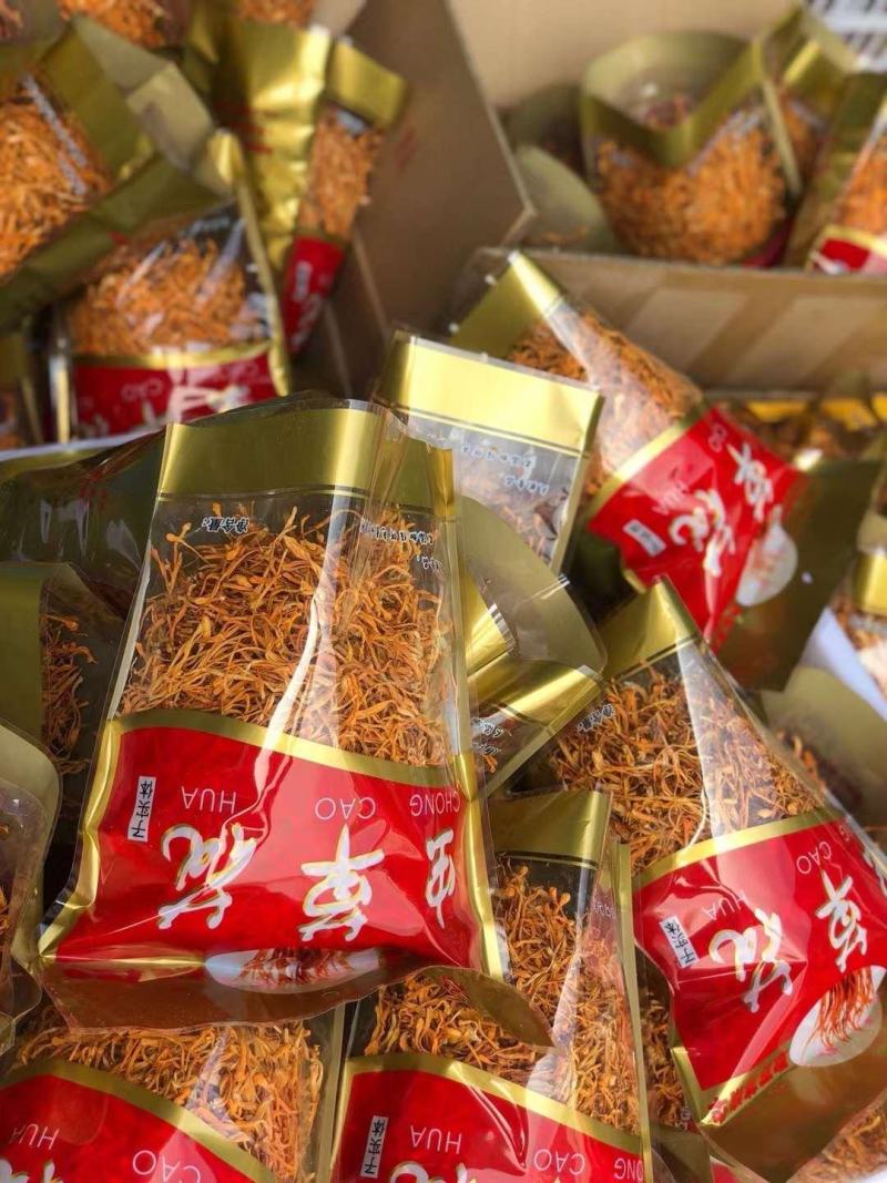 虫草花-切根虫草花，无硫虫草花一手货源货量充足批发供应