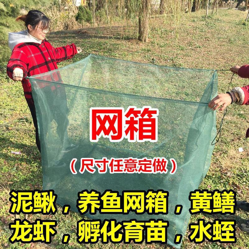 养殖网网箱养虾鱼苗网箱养鱼存鱼暂养加盖小型存鱼网箱水产养