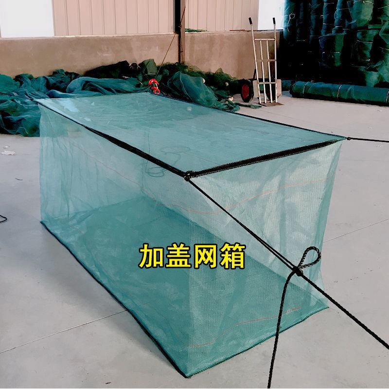 养殖网网箱养虾鱼苗网箱养鱼存鱼暂养加盖小型存鱼网箱水产养