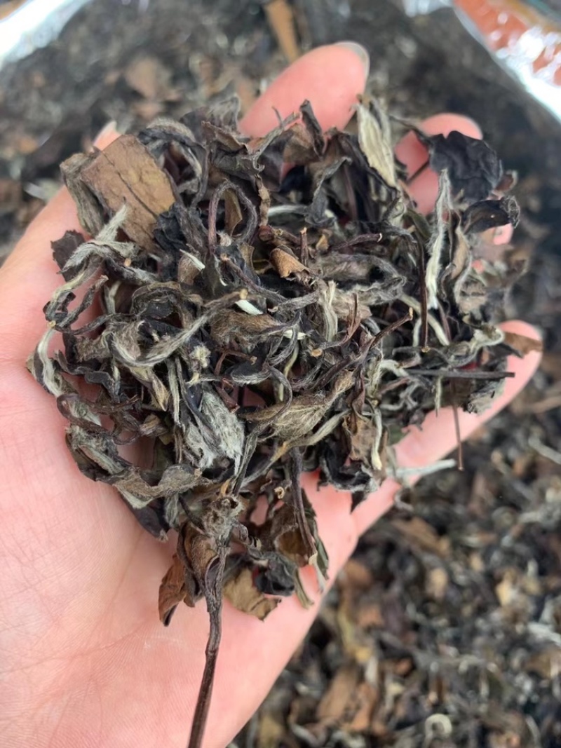 白茶寿眉散茶饼茶特级茶叶陈茶年高山茶寿眉视频看货