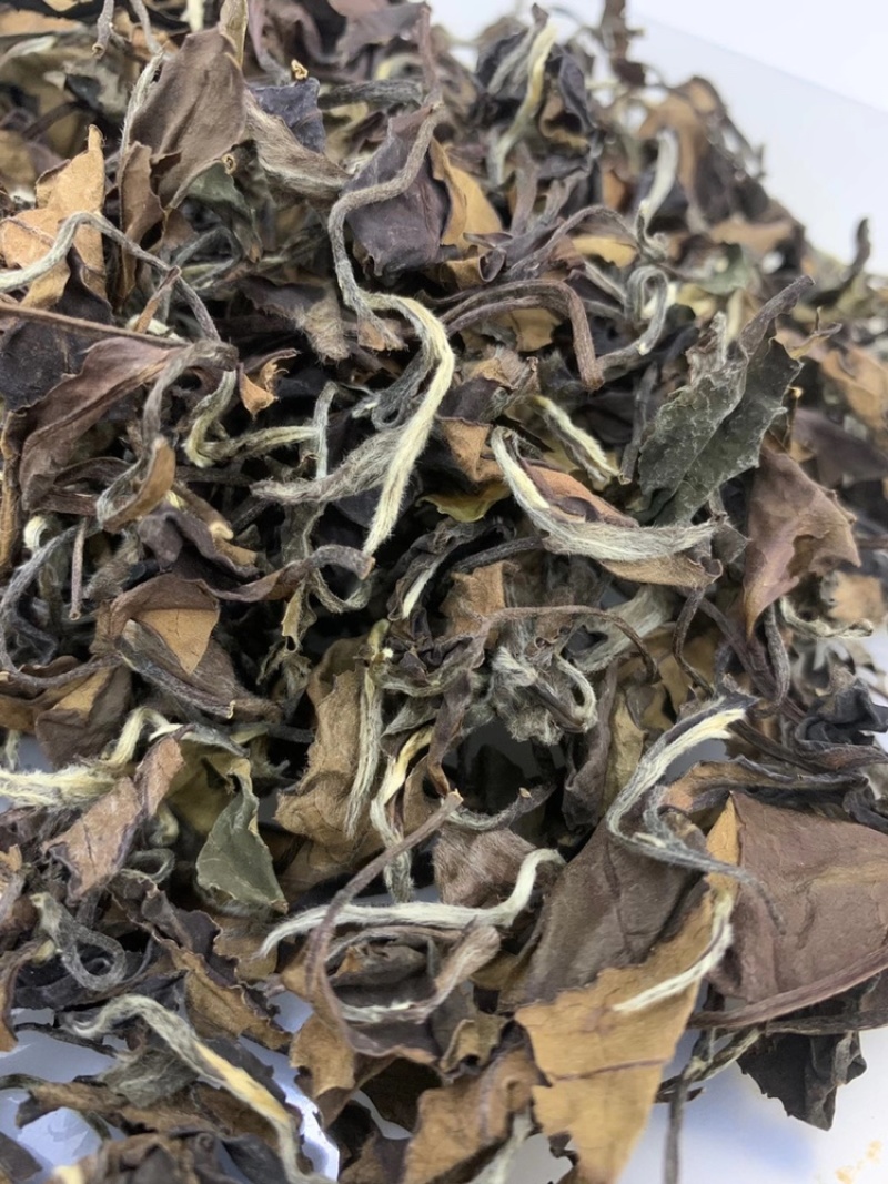 白茶寿眉散茶饼茶特级茶叶陈茶年高山茶寿眉视频看货