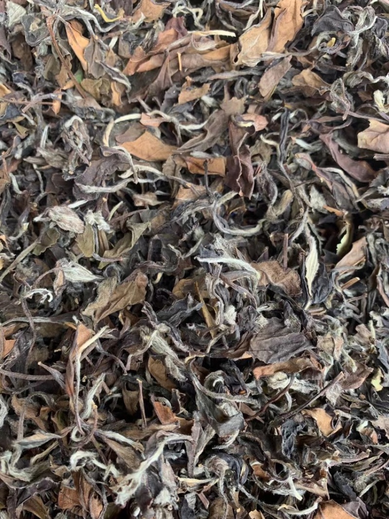 白茶寿眉散茶饼茶特级茶叶陈茶年高山茶寿眉视频看货