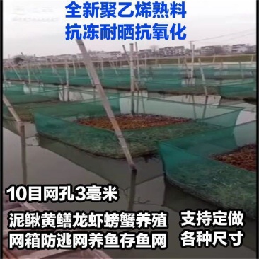 10目养殖网箱泥鳅黄鳝龙虾网螃蟹网箱养渔网箱防逃网养鱼存