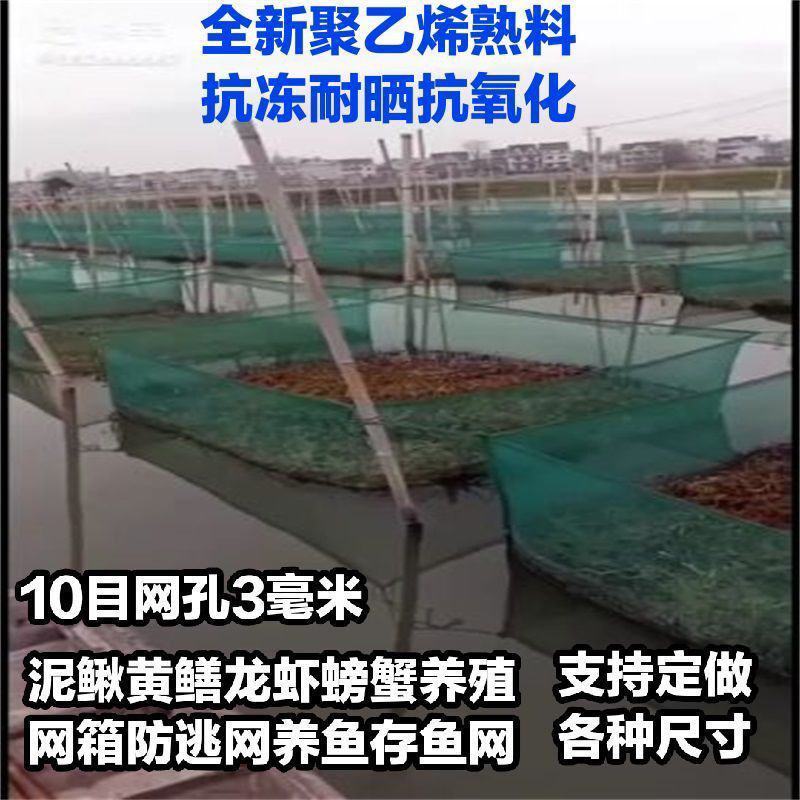 10目养殖网箱泥鳅黄鳝龙虾网螃蟹网箱养渔网箱防逃网养鱼存