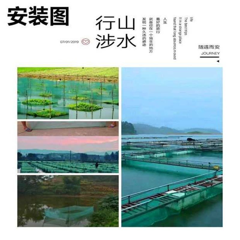 10目养殖网箱泥鳅黄鳝龙虾网螃蟹网箱养渔网箱防逃网养鱼存