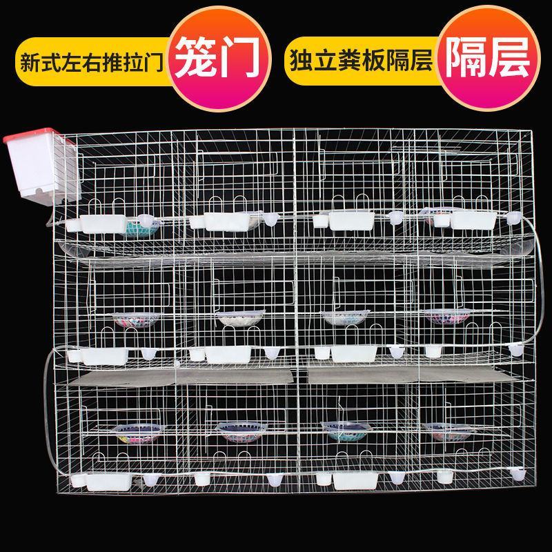 鸽子笼家用鸽鹏繁殖笼大型号养殖批发鸽笼网鸽具加粗加密白鸽