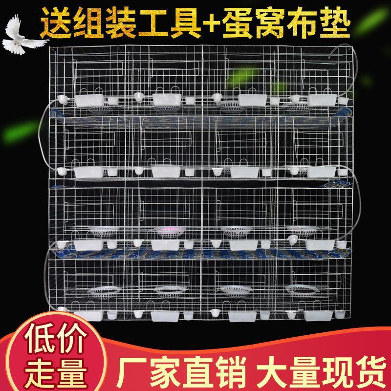 鸽子笼家用鸽鹏繁殖笼大型号养殖批发鸽笼网鸽具加粗加密白鸽