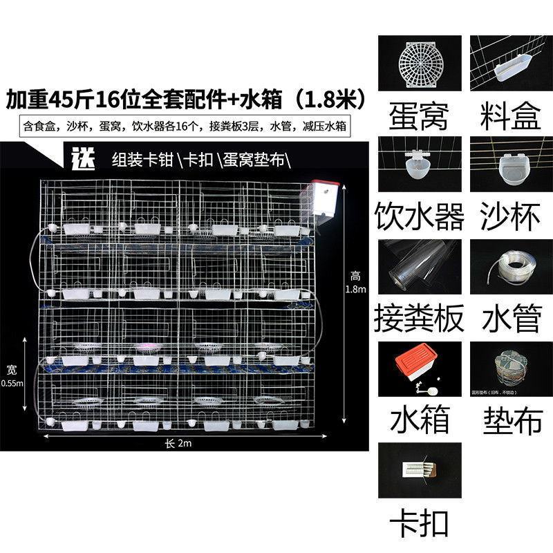 鸽子笼家用鸽鹏繁殖笼大型号养殖批发鸽笼网鸽具加粗加密白鸽