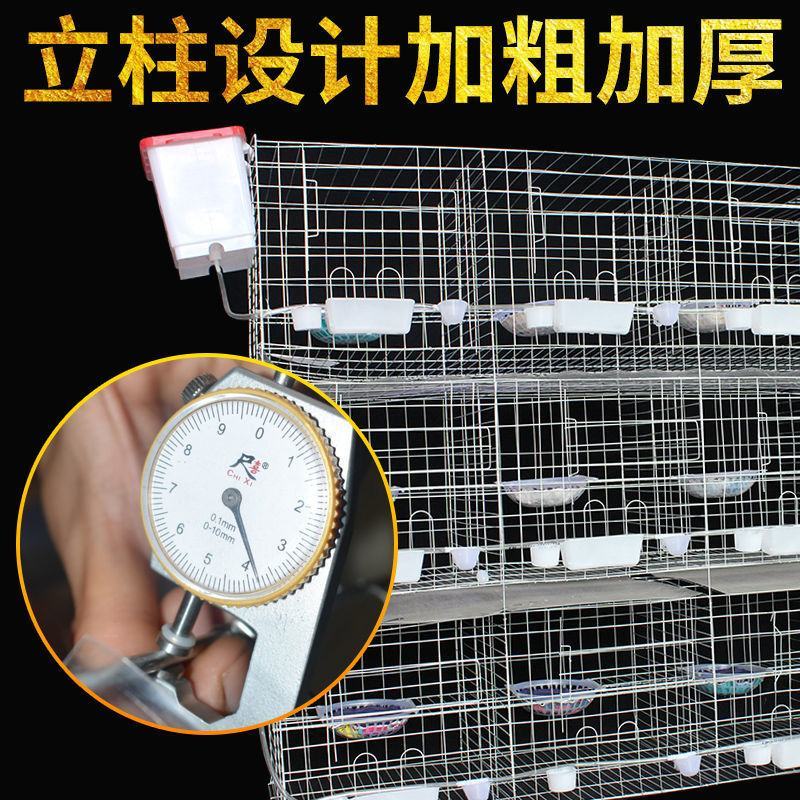 鸽子笼家用鸽鹏繁殖笼大型号养殖批发鸽笼网鸽具加粗加密白鸽