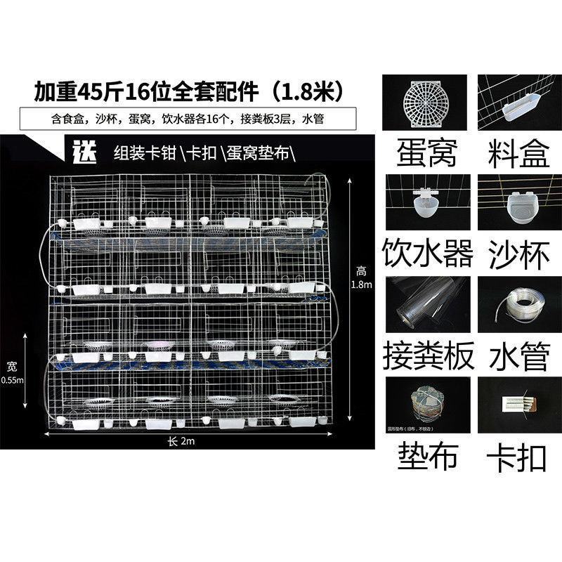 鸽子笼家用鸽鹏繁殖笼大型号养殖批发鸽笼网鸽具加粗加密白鸽