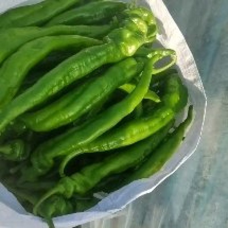 精品螺丝椒优质特选