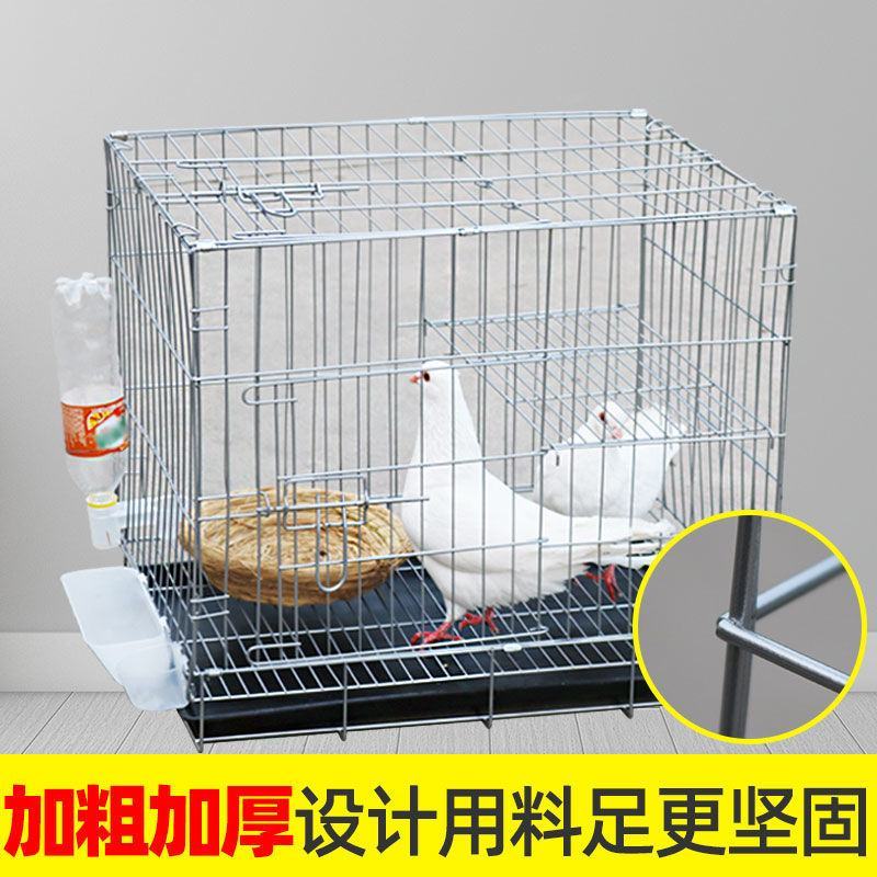 鸽子笼养殖笼大号家用折叠带隔断繁殖配对笼鸽子用品鸡笼鸟笼