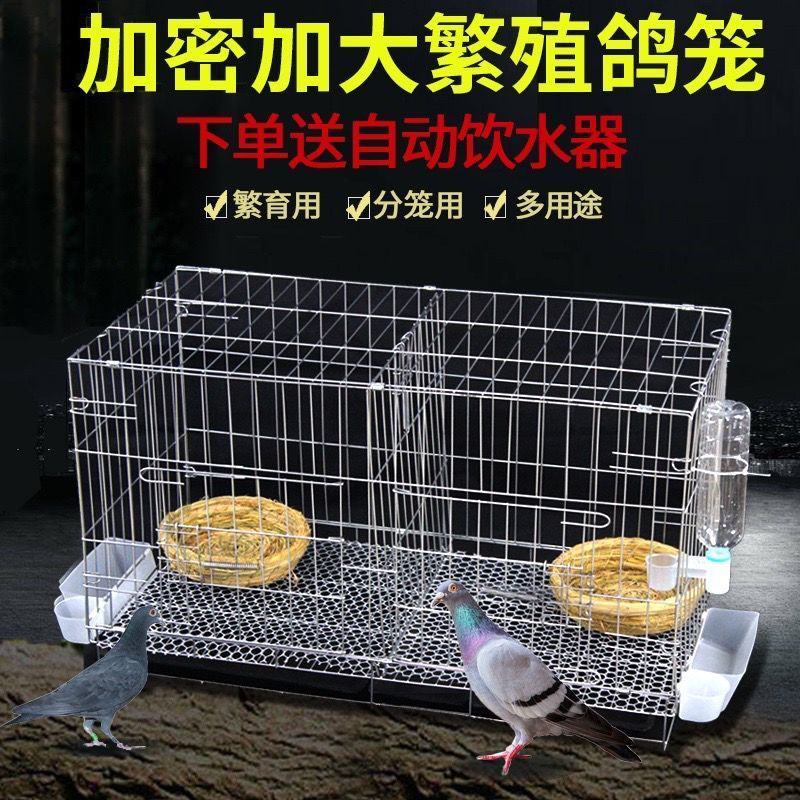 包邮加粗鸽子笼子鸽子用品用具鸽子笼大号鸡笼家用鸽子养殖笼