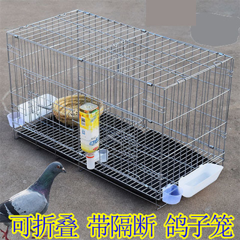 包邮加粗鸽子笼子鸽子用品用具鸽子笼大号鸡笼家用鸽子养殖笼