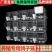 鸽子笼子养殖笼白鸽棚鸽房家用肉种鸽繁殖信鸽配对笼大型号鸽