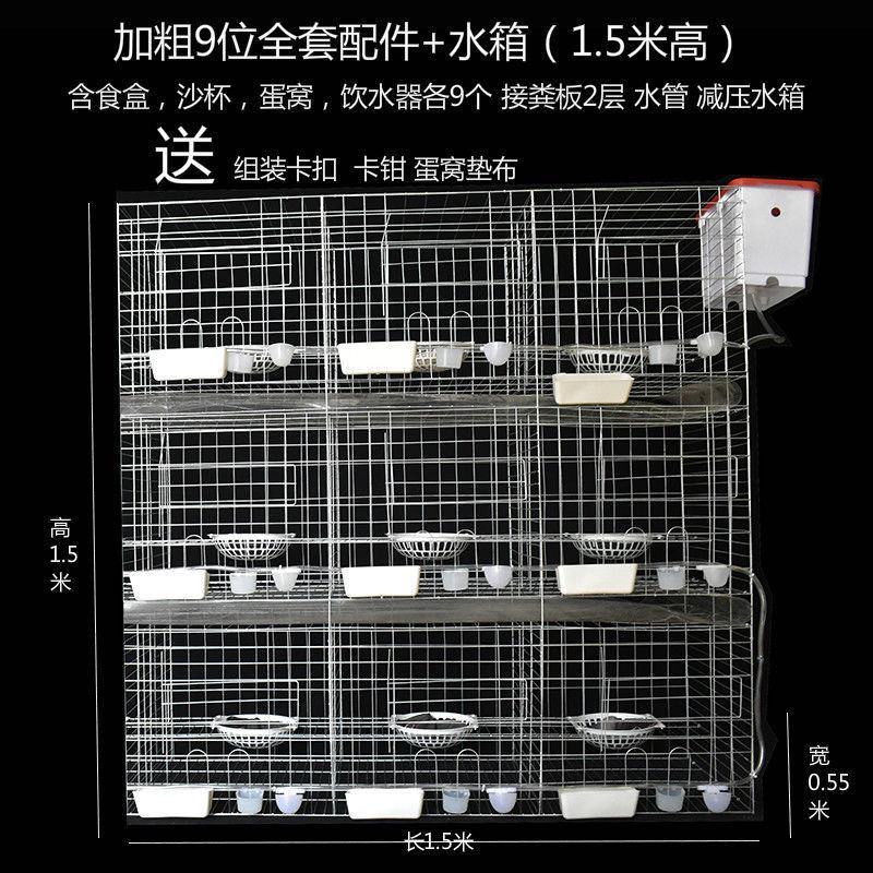 鸽子笼子养殖笼白鸽棚鸽房家用肉种鸽繁殖信鸽配对笼大型号鸽