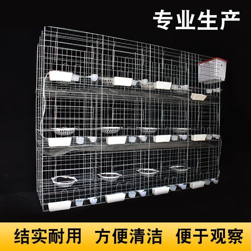 鸽子笼子养殖笼白鸽棚鸽房家用肉种鸽繁殖信鸽配对笼大型号鸽