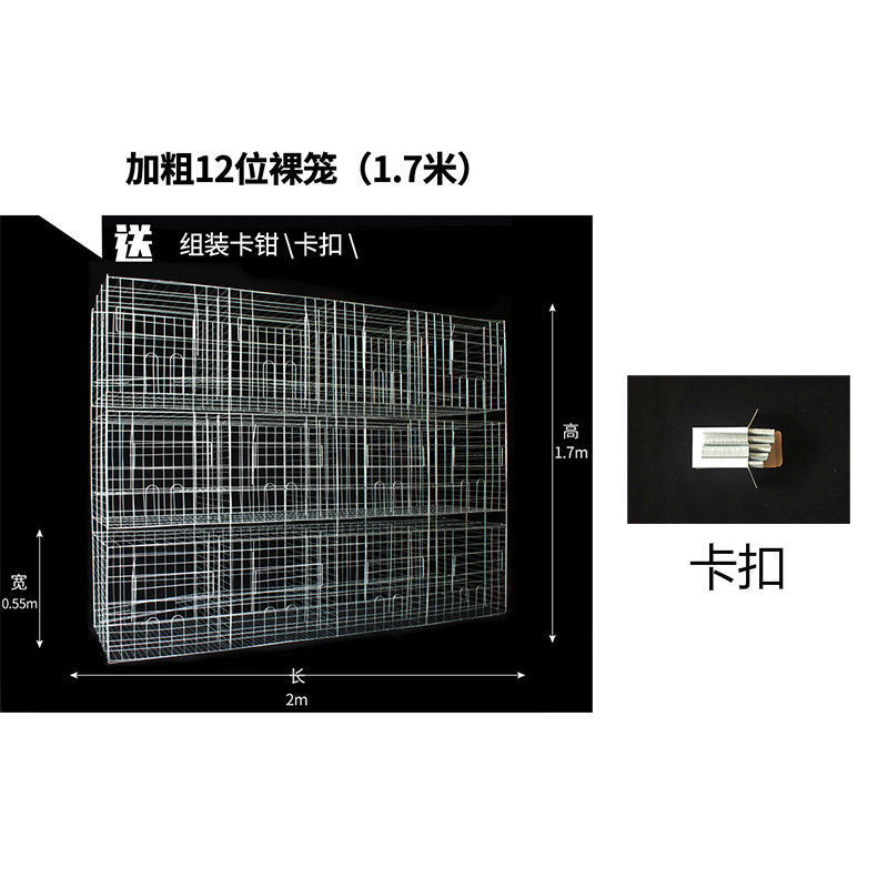鸽子笼子养殖笼白鸽棚鸽房家用肉种鸽繁殖信鸽配对笼大型号鸽