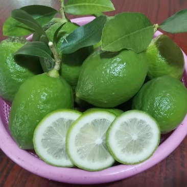 广东香水柠檬
