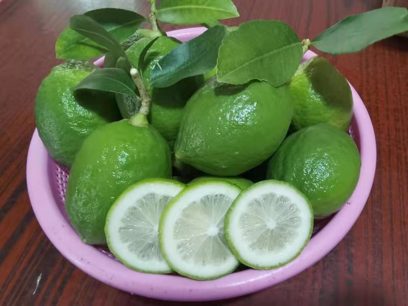 广东香水柠檬