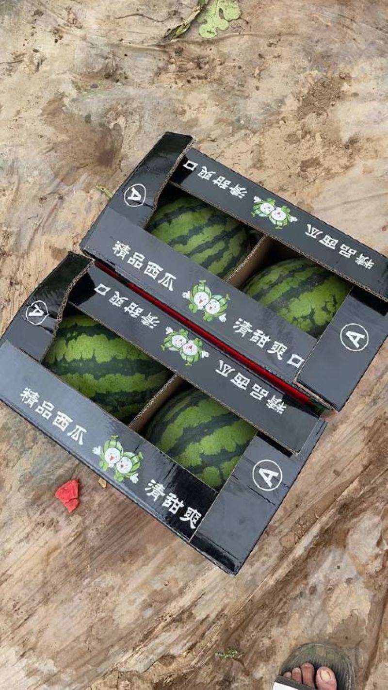 西瓜/美都西瓜/陕西美都西瓜/对接各大商超社区团购
