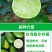 柠檬苗四季南北方种植柠檬树果树苗盆地栽香水柠檬果树苗