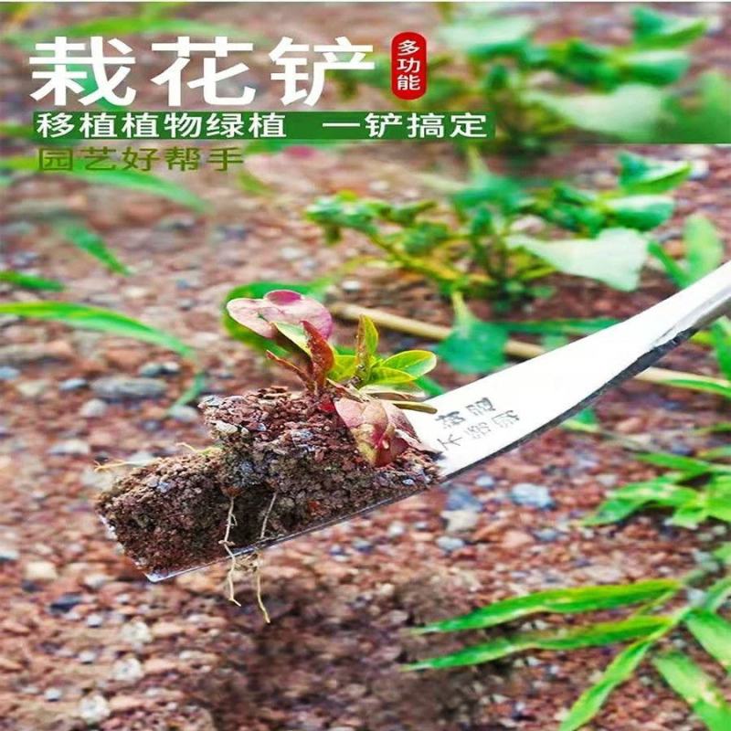挖荠菜挖蒜铲子园艺种花特快铁铲种菜除草挖土拔草户外挖野菜