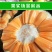 菠萝蜜苗树苗四季当年结果木菠萝嫁接苗马来黄肉南方种植盆栽