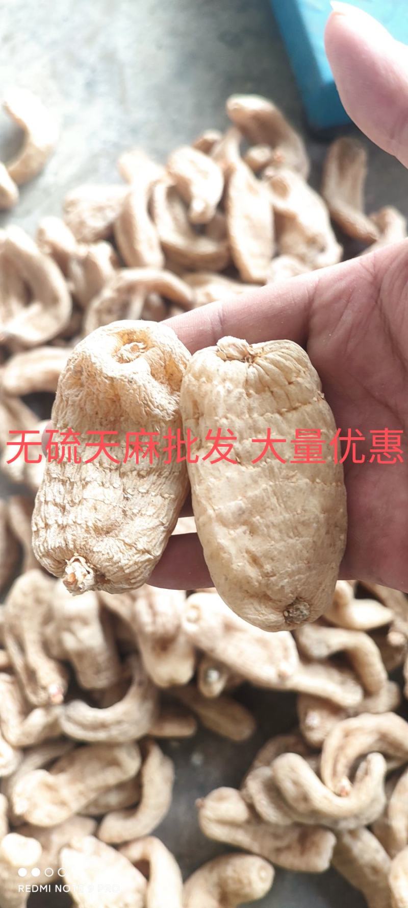 [短麻云南天麻片无硫]无任何添加本色天麻片产地农户自产自