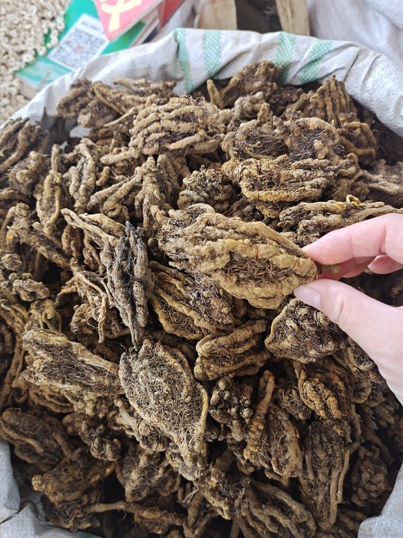 黄连黄连中药材鸡爪黄连统货选货齐全无硫无添加