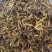 黄连黄连中药材统货选货鸡爪黄连地道中药材无硫