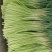 【货源充足】山东临沂红帽蒜薹产地直供一手货源价格便宜