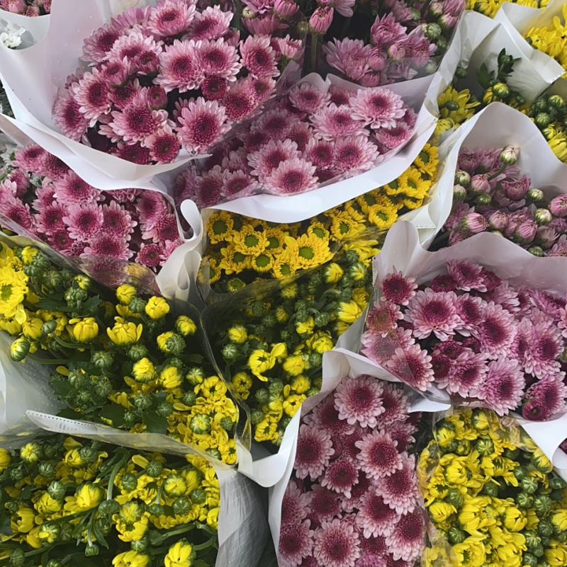 鲜花小雏菊，云南基地直销，量大从优，颜色齐全