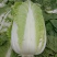 大白菜