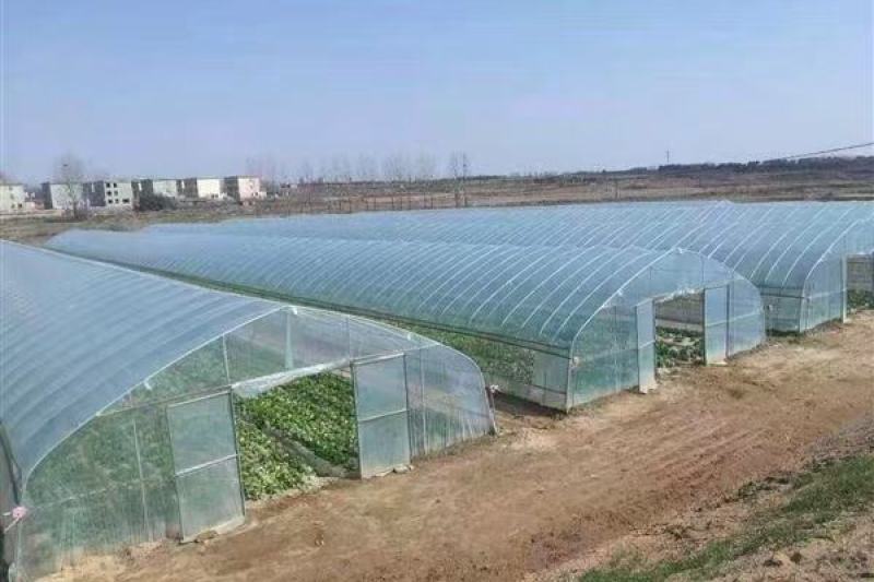 大棚管实体厂家，全国各地建养植棚，种植棚