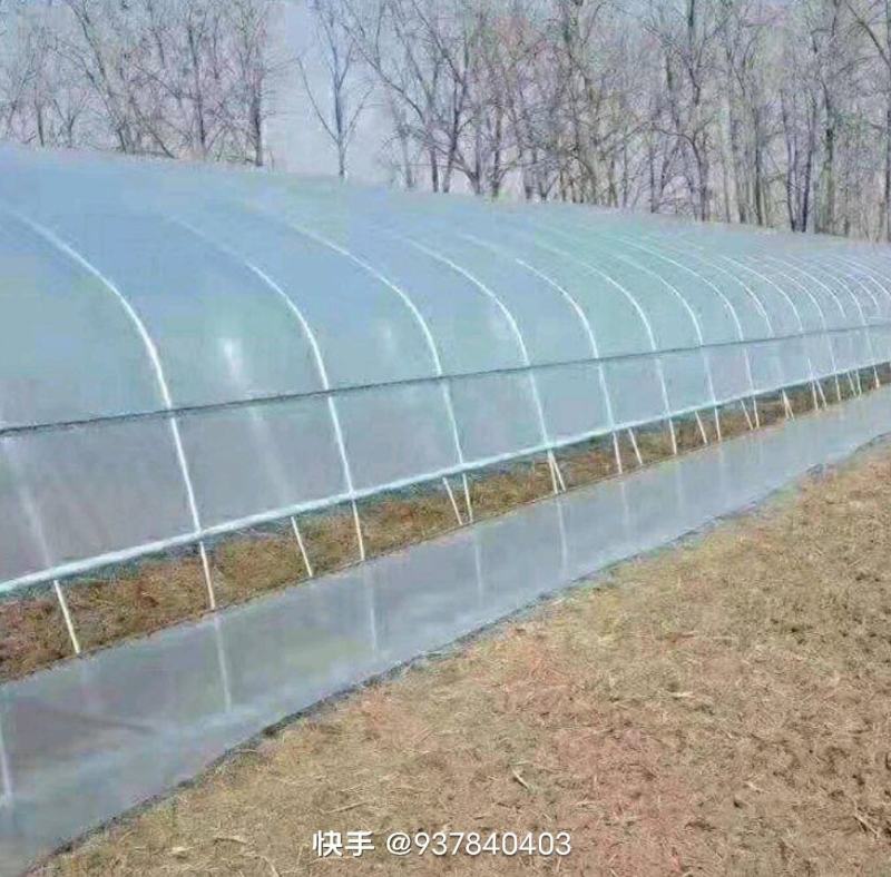 大棚管实体厂家，全国各地建养植棚，种植棚