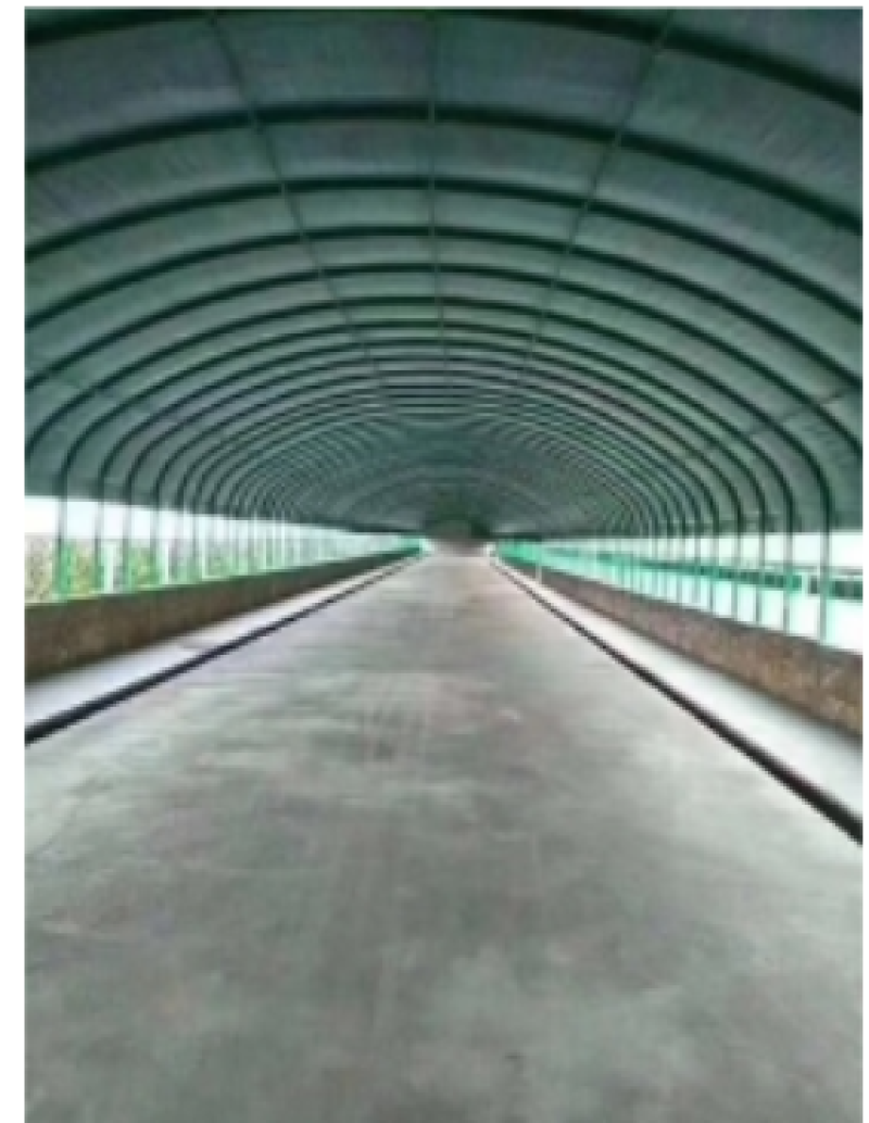 大棚管实体厂家，全国各地建养植棚，种植棚