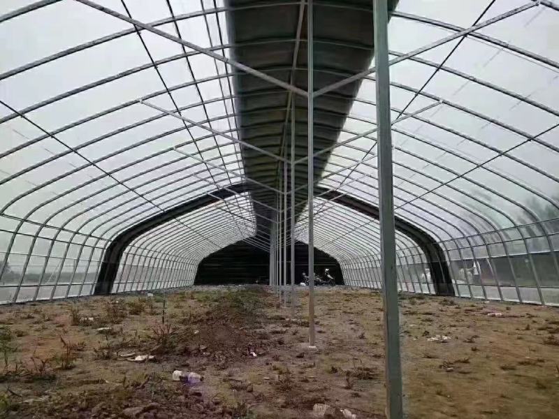 大棚管实体厂家，全国各地建养植棚，种植棚