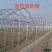 大棚管实体厂家，全国各地建养植棚，种植棚