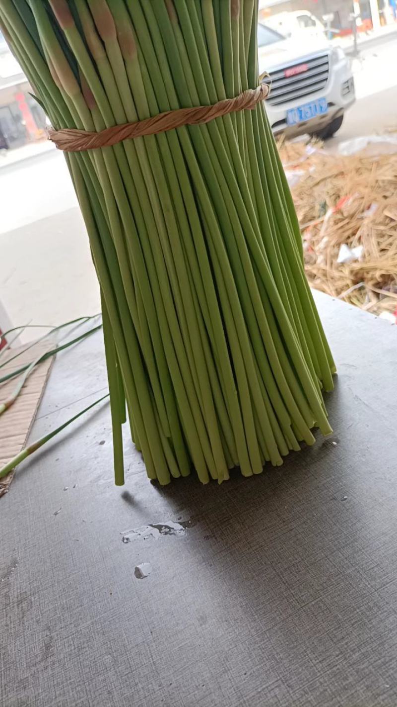 邳州精品小红帽大量上市中适合每一个市场批发