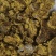 【实力商家】棉籽饼，厂家直供棉饼棉籽饼，牛羊水产好饲料！