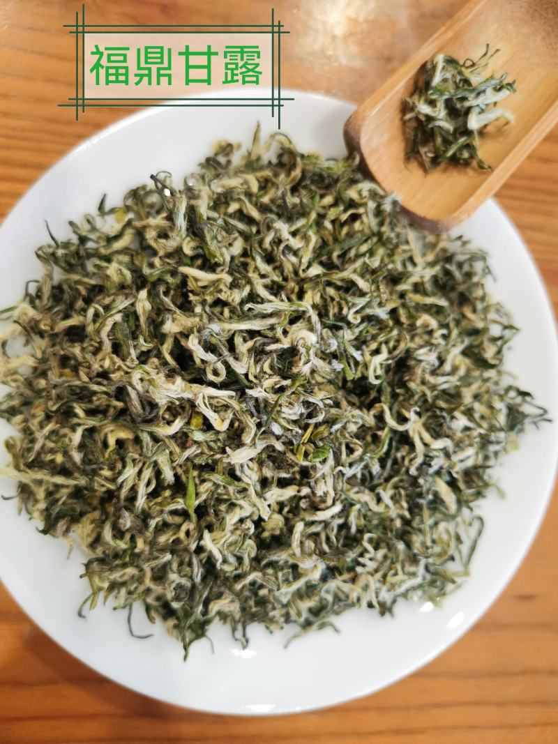 正宗雅安蒙顶山茶高山茶明前特级绿茶三款甘露