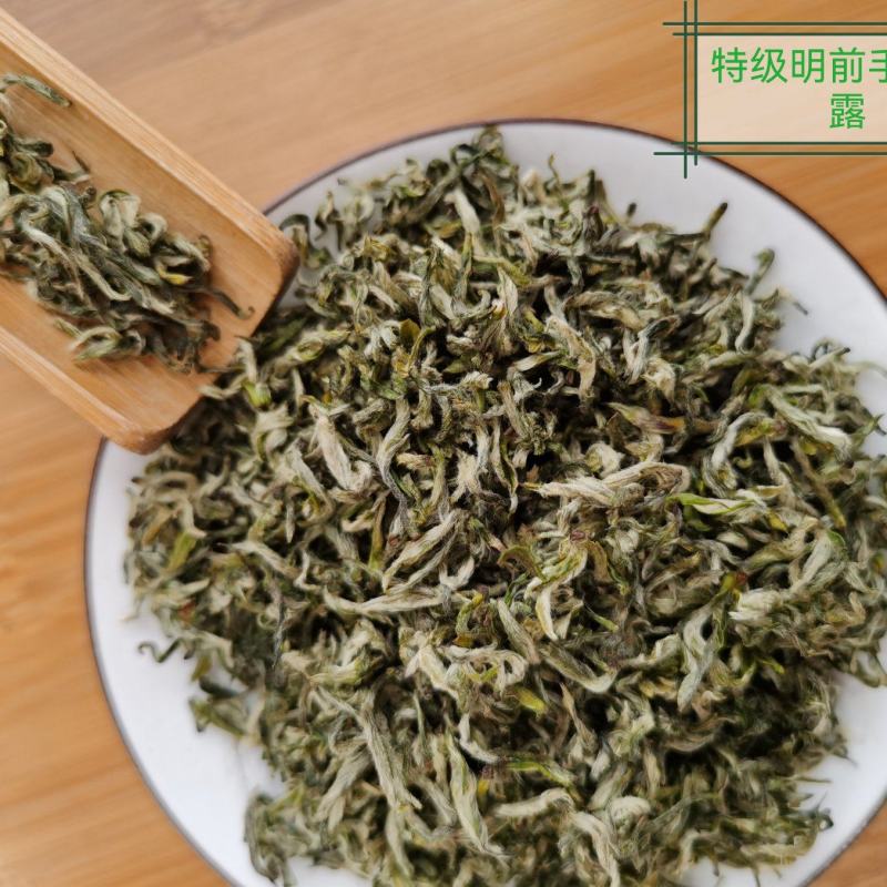 正宗雅安蒙顶山茶高山茶明前特级绿茶三款甘露