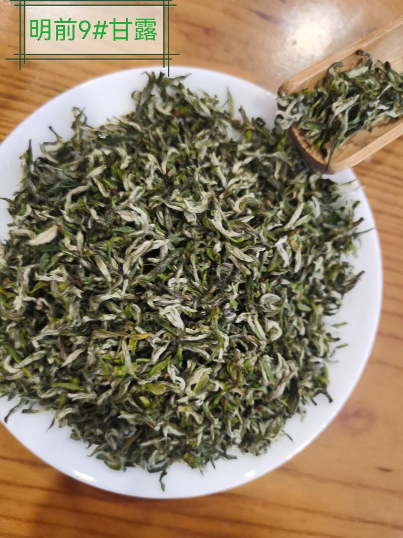 正宗雅安蒙顶山茶高山茶明前特级绿茶三款甘露